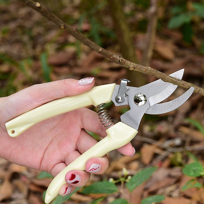 Gardening Tools Scissors - กรรไกรตัดแต่งกิ่งไม้แบบประหยัดแรงงาน, กรรไกรตัดกิ่งมืออาชีพสำหรับกิ่งไม้, ก้านดอกไม้ และตัดแต่งต้นไม้ผล, ทนทานสูง