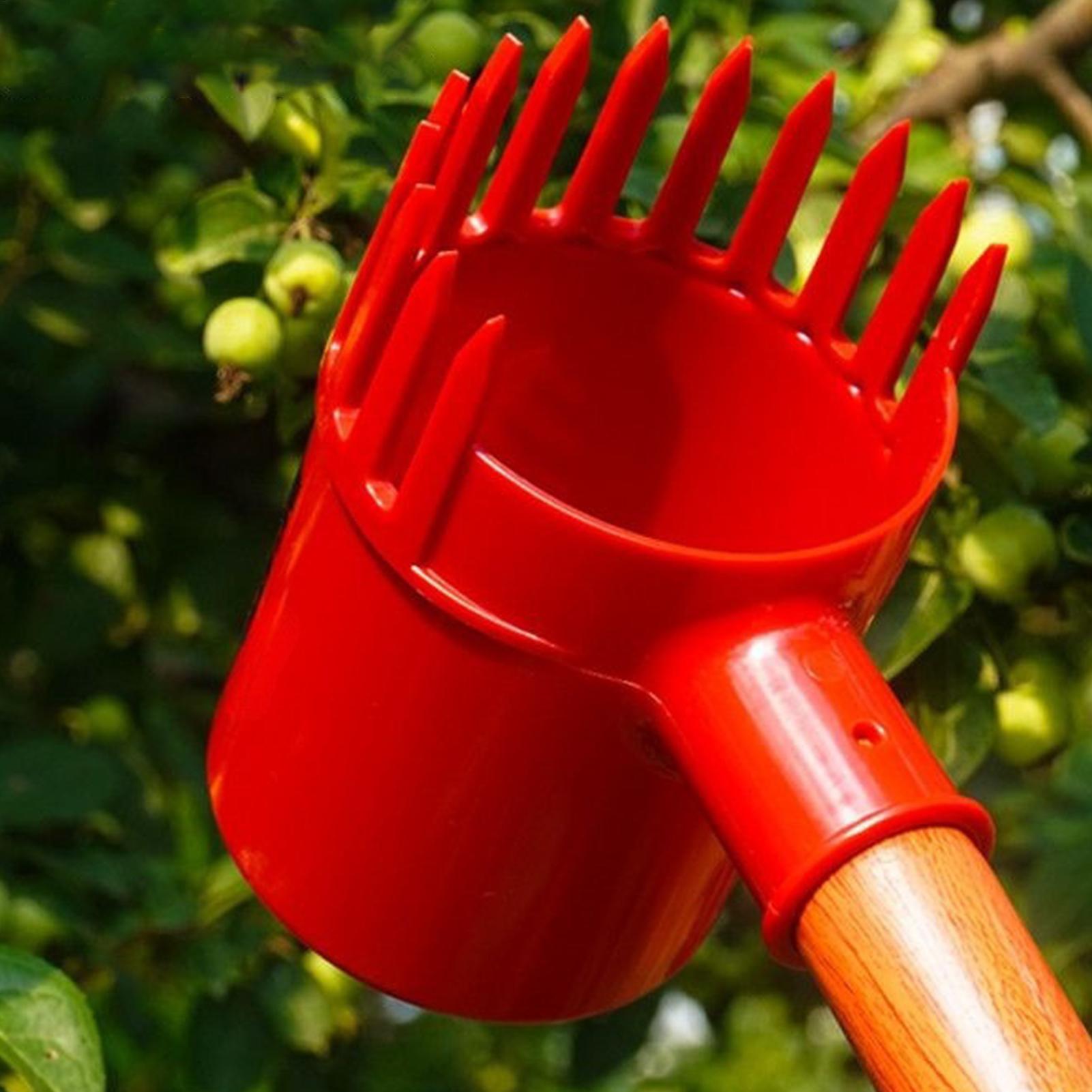 Gardening Tools Long - เครื่องมือเก็บเกี่ยวผลไม้ หัวหวีพลาสติกหนา ปลายมนอ่อนโยน พร้อมด้ามยาว สำหรับเก็บเกี่ยวพุทรา บลูเบอร์รี่