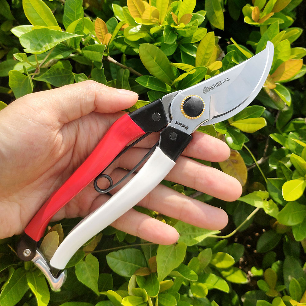 กรรไกรตัดแต่งกิ่งไม้ญี่ปุ่นเคร - Gardening Tools In Japan บทวิจารณ์และราคา