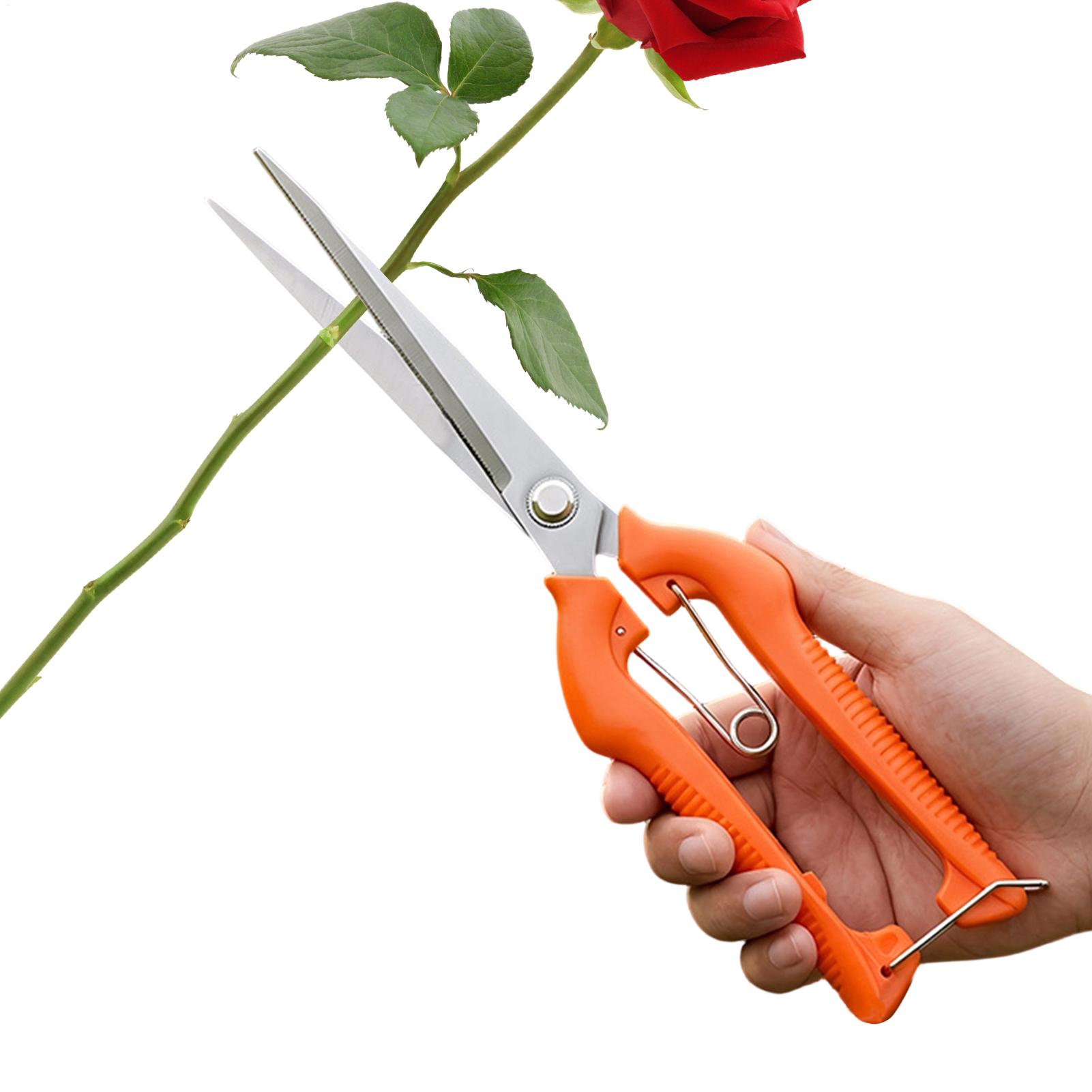 กรรไกรตัดแต่งกิ่ง ตัดองุ่น อุป - Gardening Tools Women บทวิจารณ์และราคา