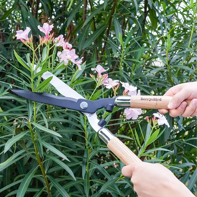 กรรไกรตัดแต่งกิ่งเหล็กกล้าคาร์ - Gardening Tools Wooden บทวิจารณ์และราคา