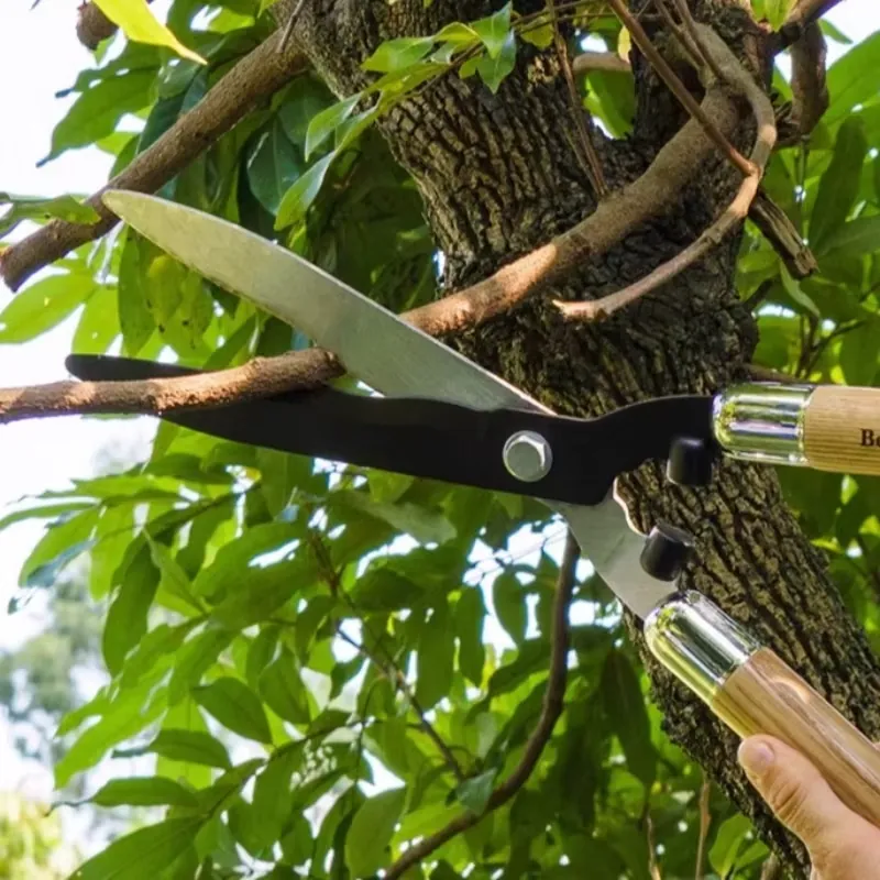 กรรไกรตัดแต่งกิ่งเหล็กกล้าคาร์ - Gardening Tools Wooden บทวิจารณ์และราคา