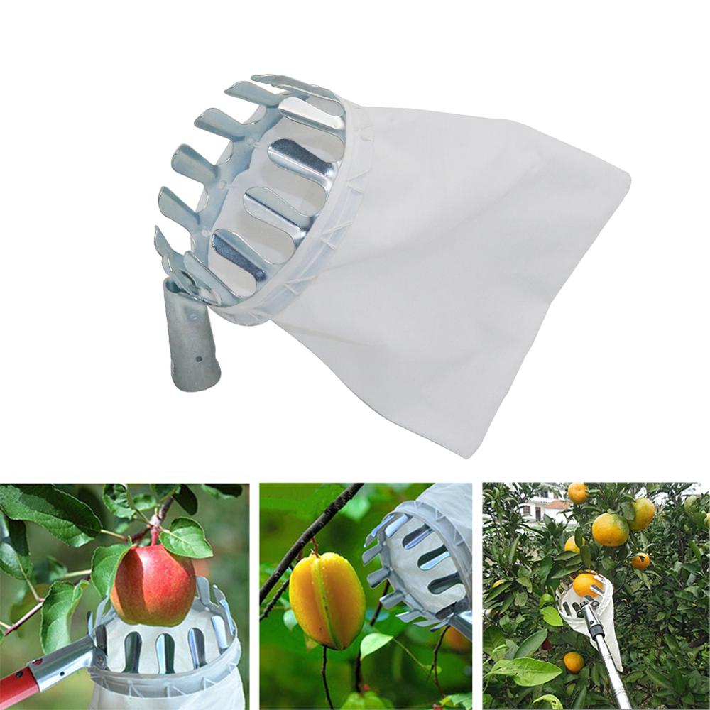 สวนตัดแต่งกิ่งไม้ผลไม้ Picker  - Gardening Tools Long บทวิจารณ์และราคา
