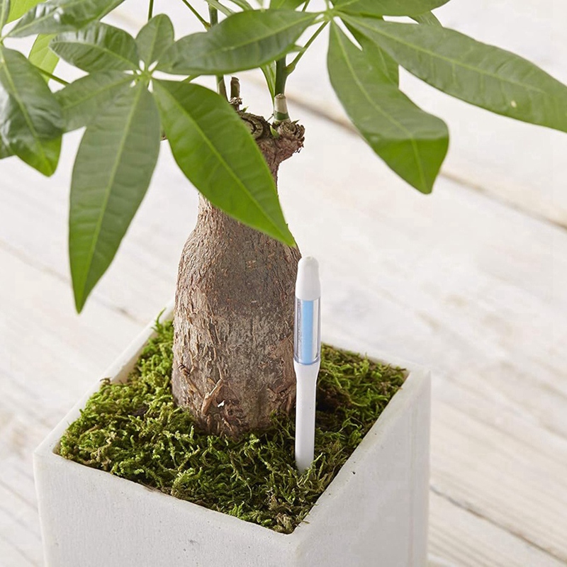 อควาเมเตอร์, 5 ชิ้น, เซ็นเซอร์ - Moisture Meter Plant บทวิจารณ์และราคา