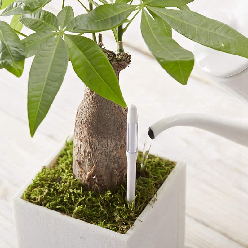 อควาเมเตอร์, 5 ชิ้น, เซ็นเซอร์ - Moisture Meter Plant บทวิจารณ์และราคา