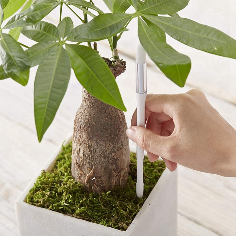 อควาเมเตอร์, 5 ชิ้น, เซ็นเซอร์ - Moisture Meter Plant บทวิจารณ์และราคา