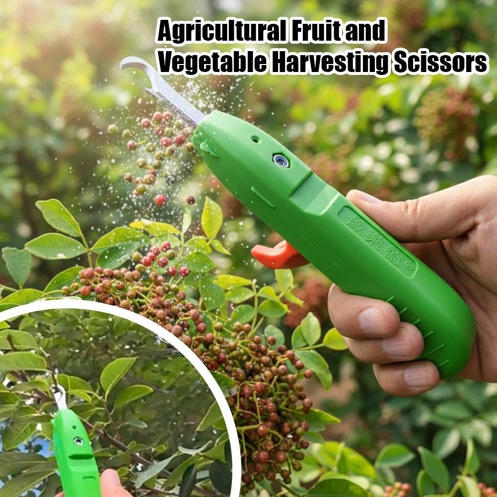 กรรไกรตัดผลไม้และผัก กรรไกรตัด - Gardening Tools Scissors บทวิจารณ์และราคา