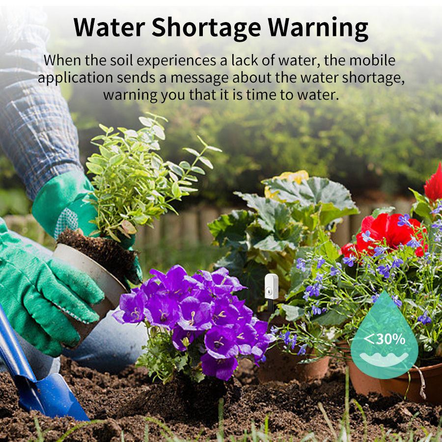 เซ็นเซอร์วัดความชื้นในดินอัจฉร - Moisture Meter Plant บทวิจารณ์และราคา