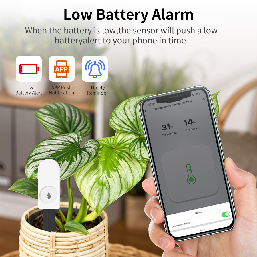 เซ็นเซอร์วัดความชื้นในดินอัจฉร - Moisture Meter Plant บทวิจารณ์และราคา