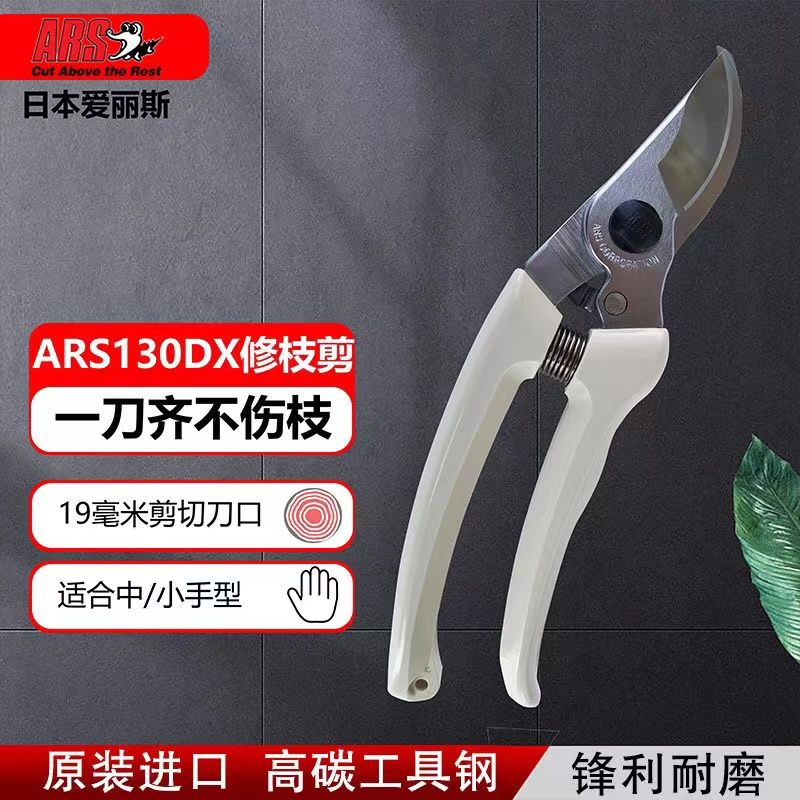 กรรไกรตัดแต่งกิ่ง เครื่องมือทํ - Gardening Tools In Japan บทวิจารณ์และราคา