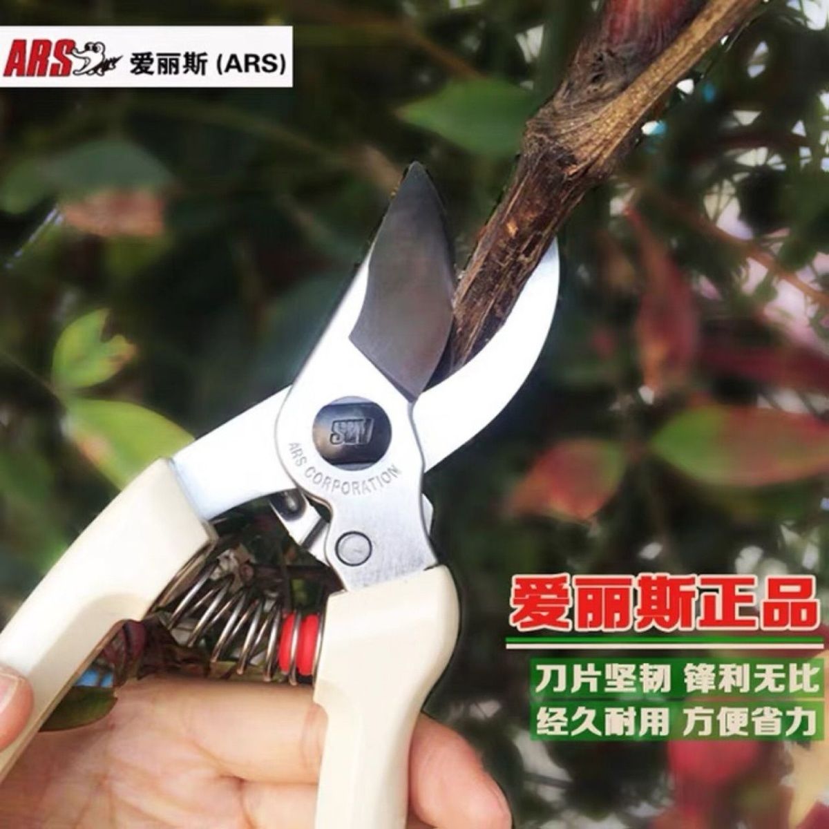 กรรไกรตัดแต่งกิ่ง เครื่องมือทํ - Gardening Tools In Japan บทวิจารณ์และราคา