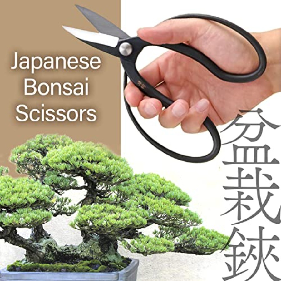 กรรไกรตัดกิ่งบอนไซญี่ปุ่น Suir - Gardening Tools In Japan บทวิจารณ์และราคา