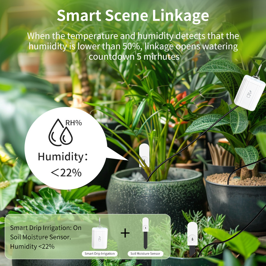 เครื่องวัดความชื้นและอุณหภูมิด - Moisture Meter Plant บทวิจารณ์และราคา