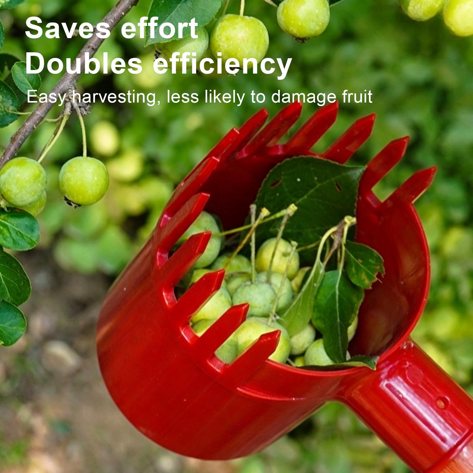 เครื่องมือเก็บเกี่ยวผลไม้ หัวห - Gardening Tools Long บทวิจารณ์และราคา