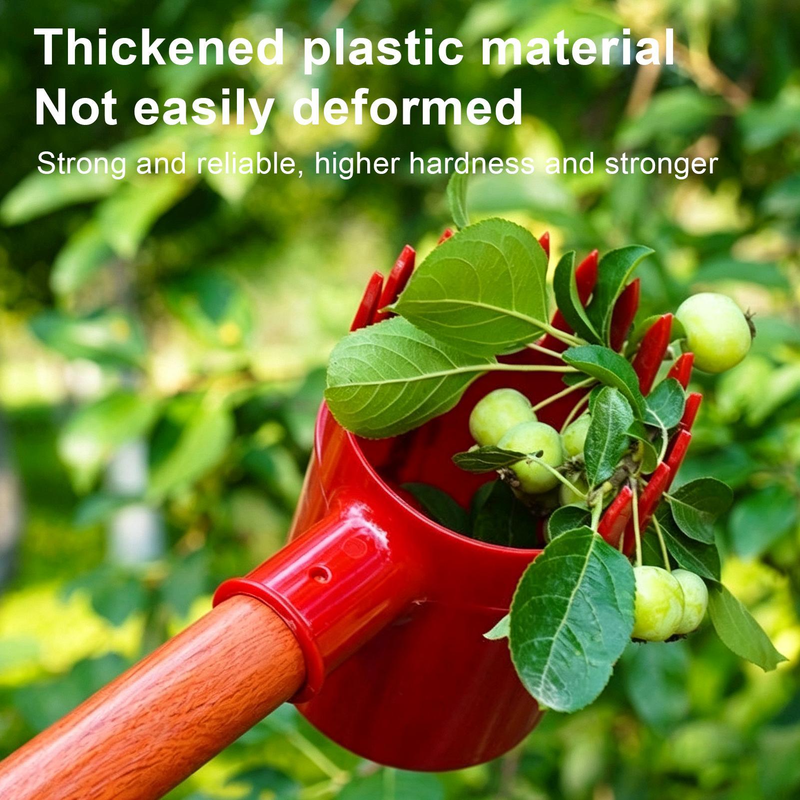 เครื่องมือเก็บเกี่ยวผลไม้ หัวห - Gardening Tools Long บทวิจารณ์และราคา