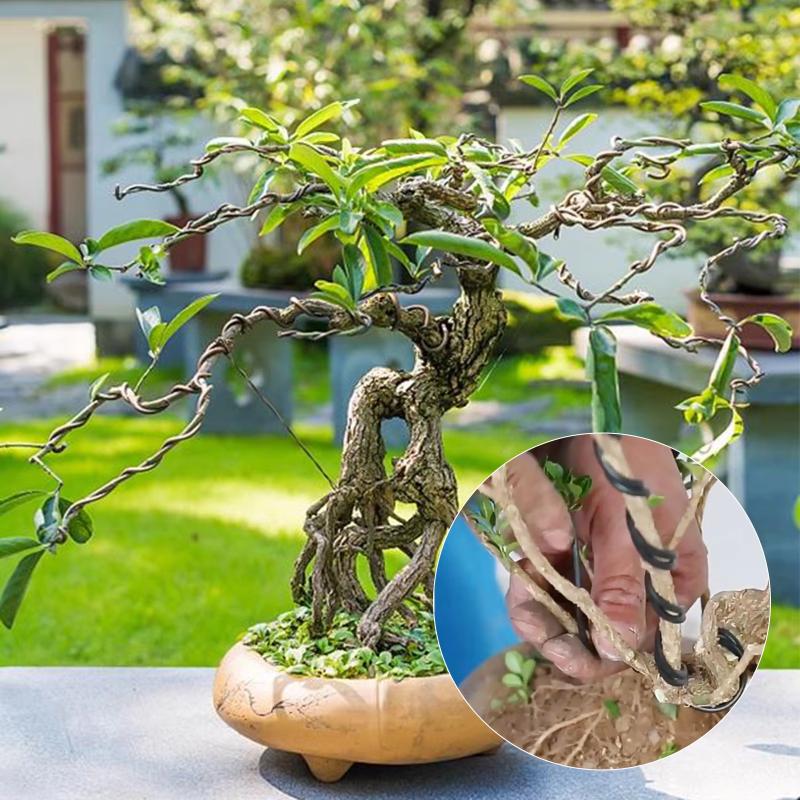 ลวดฝึกบอนไซอะลูมิเนียม 10 เมตร - Gardening Tools And Accessories บทวิจารณ์และราคา