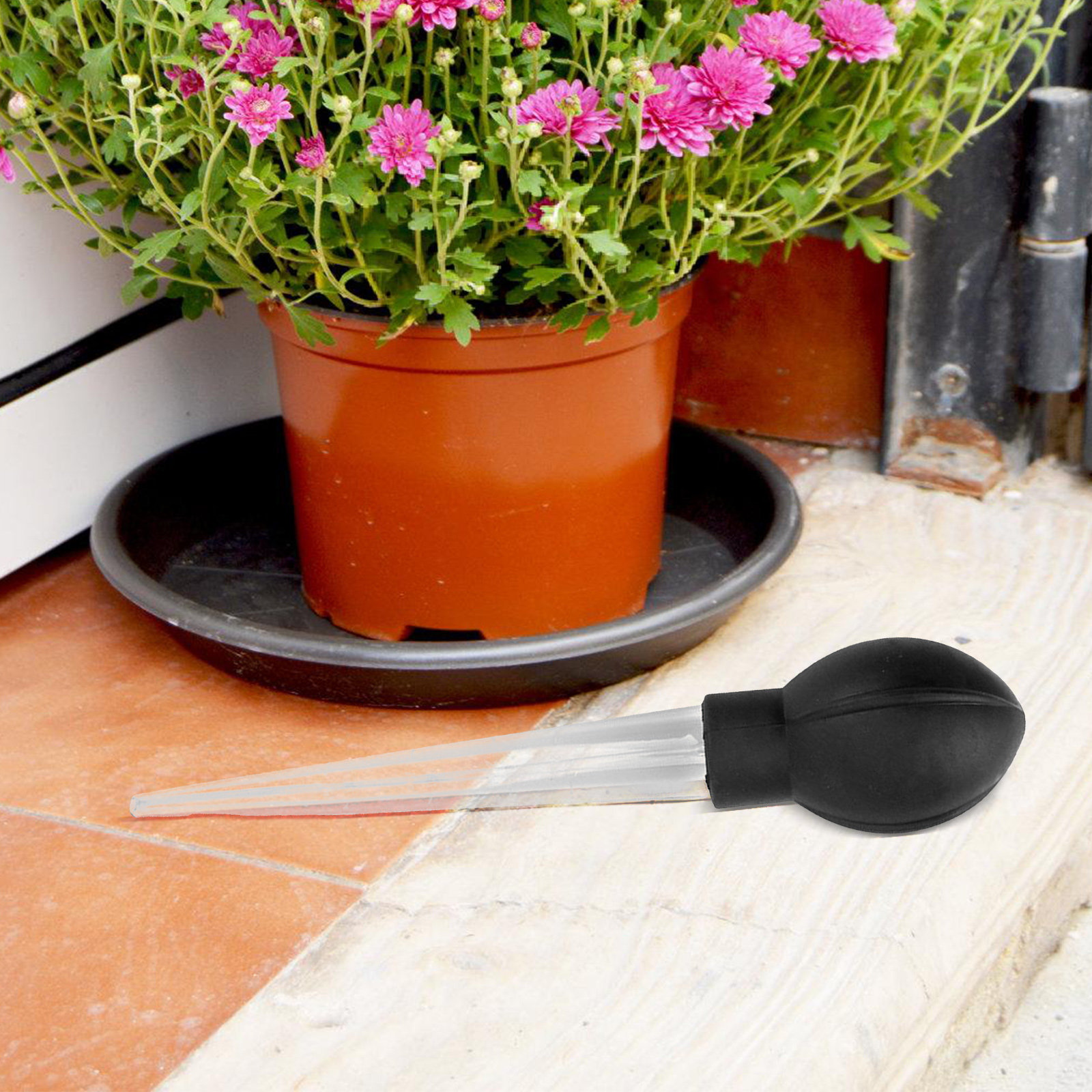 ถาดรองต้นไม้ ที่ดูดน้ำ ที่ดูดซ - Gardening Tools And Accessories บทวิจารณ์และราคา