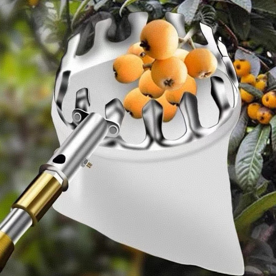 เครื่องมือเก็บผลเบอร์รี่แบบมือ - Gardening Tools Rack บทวิจารณ์และราคา