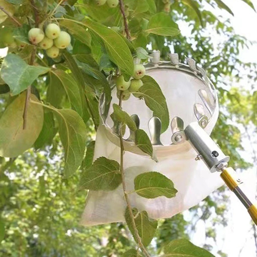 เครื่องมือเก็บผลเบอร์รี่แบบมือ - Gardening Tools Rack บทวิจารณ์และราคา