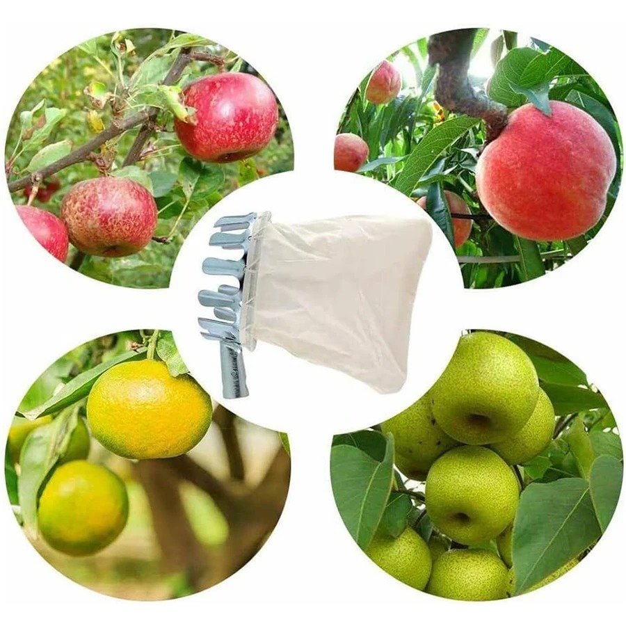 เครื่องมือเก็บผลเบอร์รี่แบบมือ - Gardening Tools Rack บทวิจารณ์และราคา