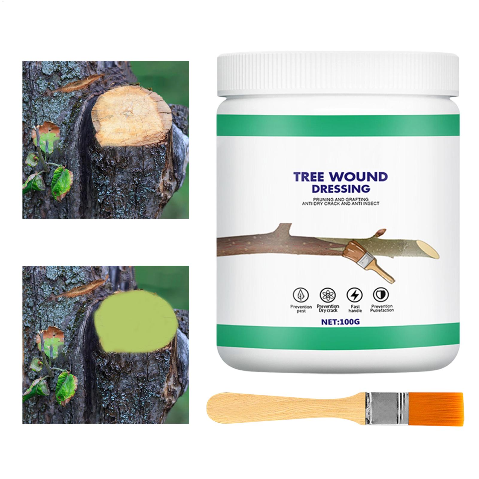 น้ำยาปิดแผลต้นไม้ น้ำยาทาแผลต้ - Gardening Tools Women บทวิจารณ์และราคา
