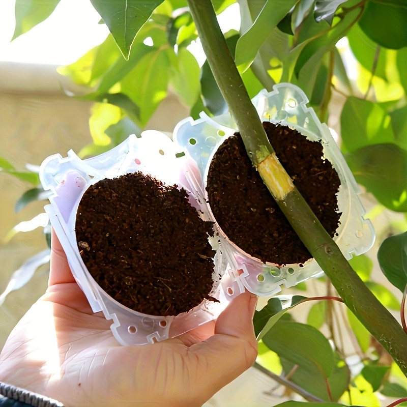 ชุดอุปกรณ์ขยายพันธุ์พืชแบบแรงด - Gardening Tools Rack บทวิจารณ์และราคา