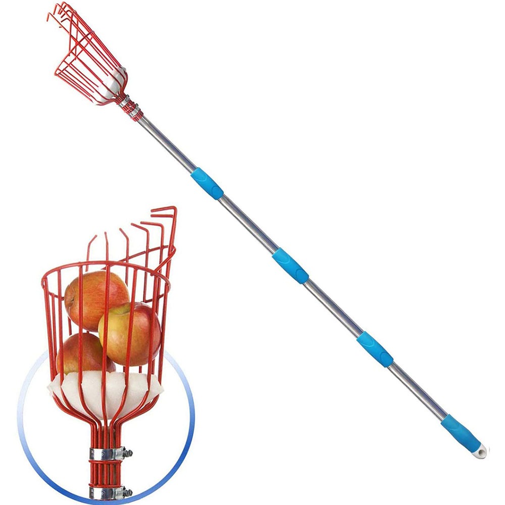 ที่เก็บผลไม้ยาว 260 ซม., ตะกร้ - Gardening Tools Rack บทวิจารณ์และราคา